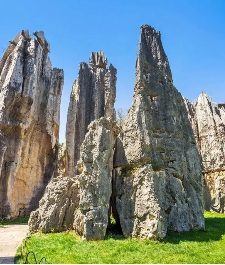 35. The Stone Forest.jpg?format=webp