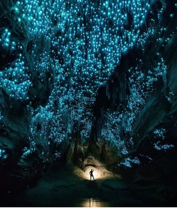 39. Waitomo Glowworm Caves.jpg?format=webp