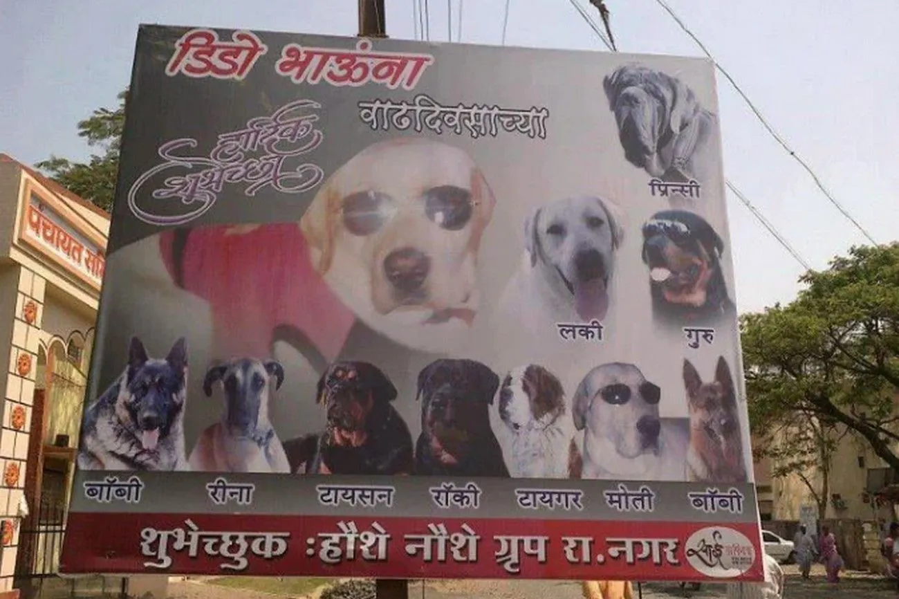 8. Dog's Poster.jpg?format=webp