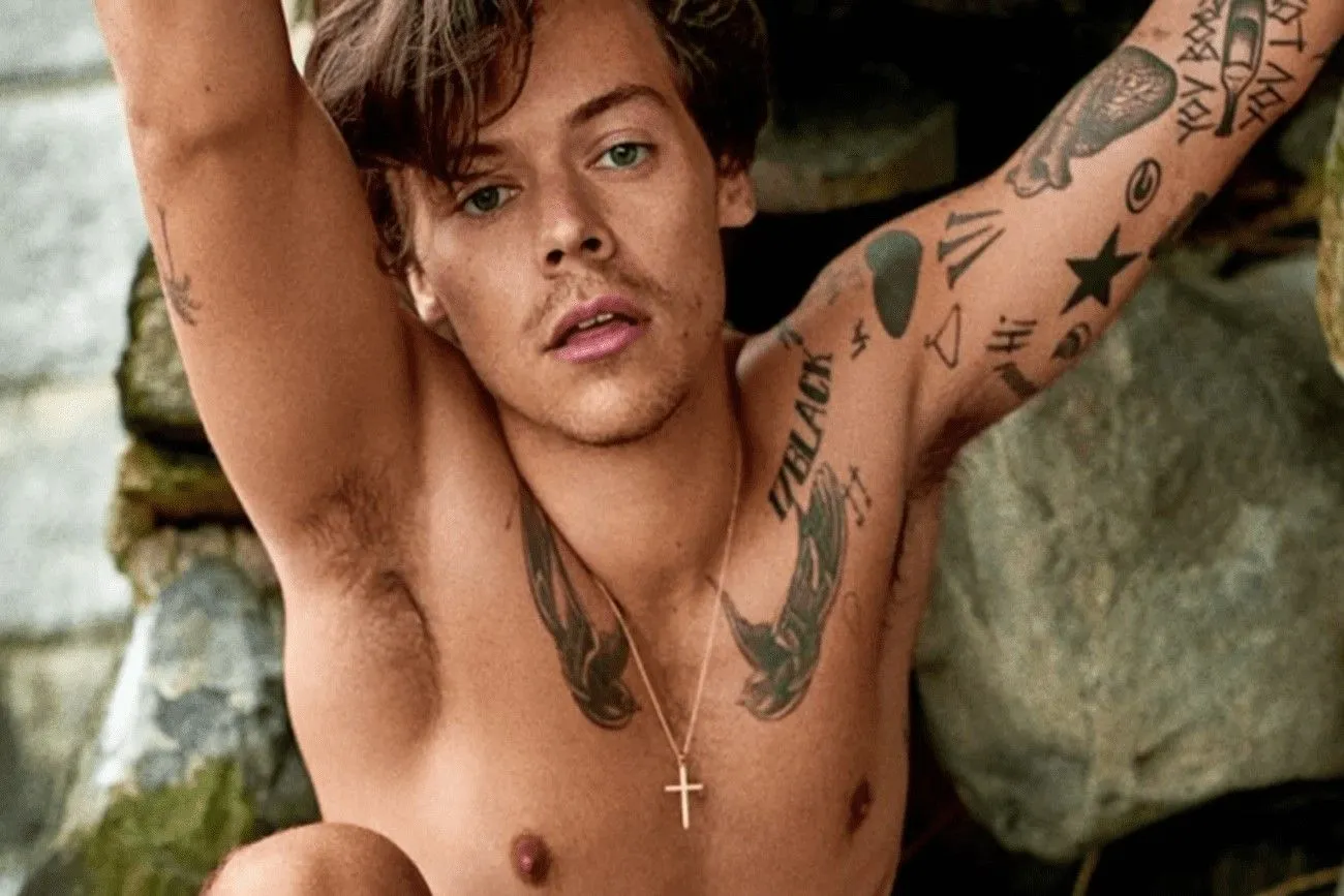 Harry has a whopping 60 tattoos on his body! .jpg?format=webp