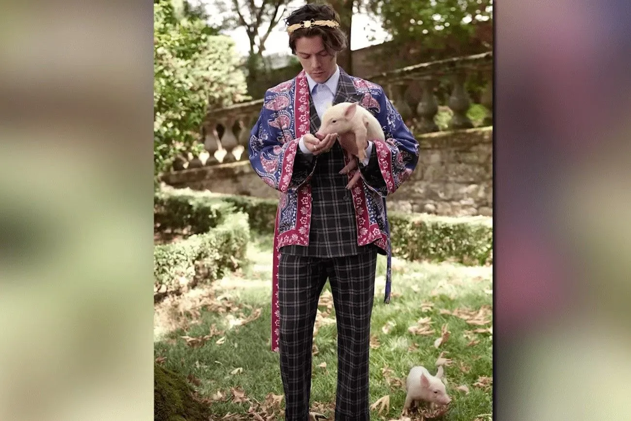 In addition to people, Harry Styles also helps animals.jpg?format=webp
