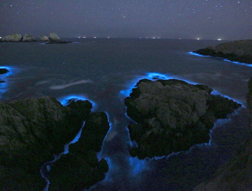 The Ocean's Enchanting Glow: Unveiling its Secret and Where to See It?