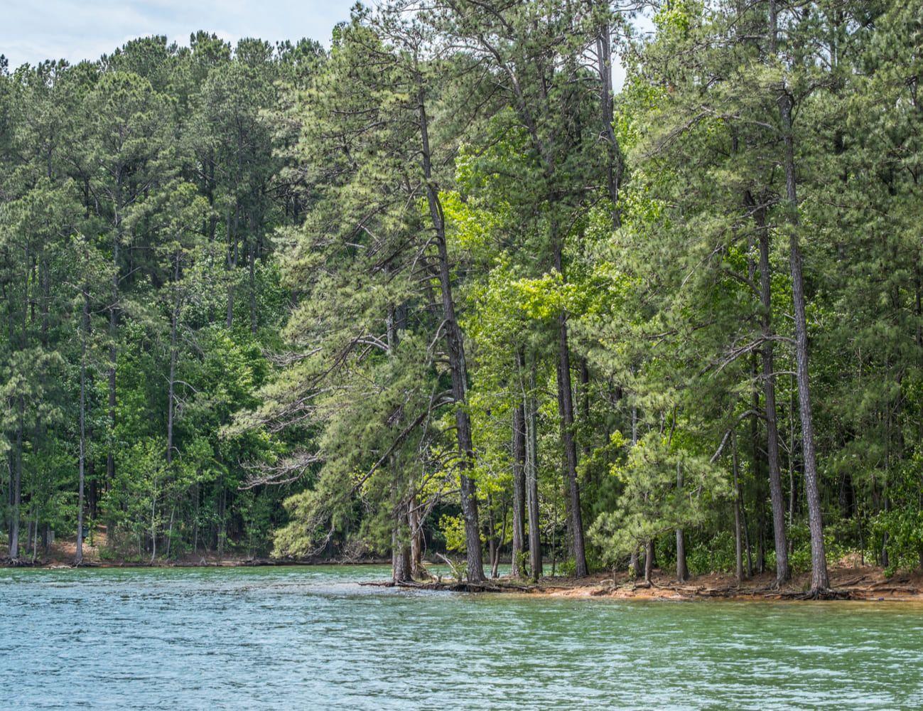 Restless Spirits: Is Georgia's Lake Lanier a Gateway to the Underworld?