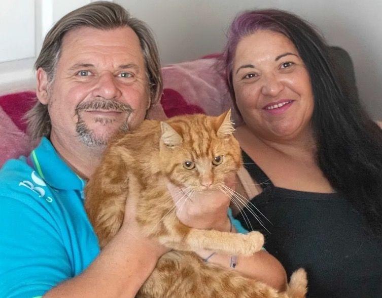 Cat's Extreme 40-Mile Adventure Leads Him Back to Original Owners' Doorstep