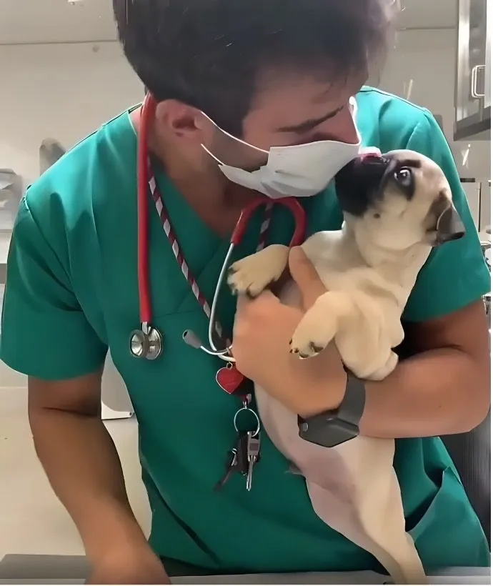 12. The Best Moment in a Veterinarian's Work.jpg?format=webp