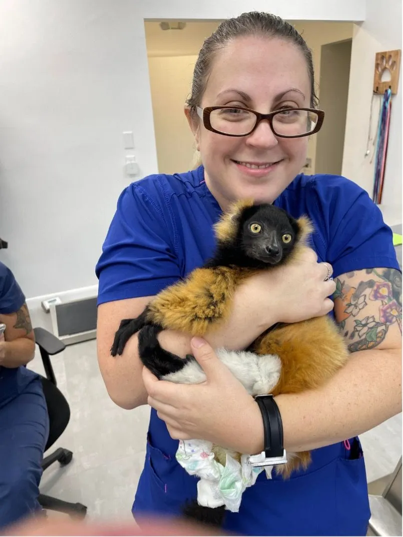 19. Fantastic Lemur in a Vet's Hug.jpg?format=webp