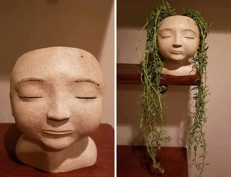 31. The head of a calm man as a perfect planter.jpg?format=webp